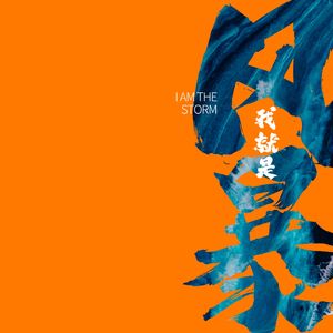 我就是风暴 伴奏