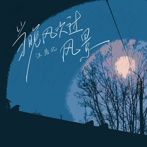 当晚风吹过风景（DJ弹鼓降速版）