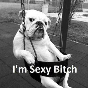 关于郑州的记忆（翻自 李逼）