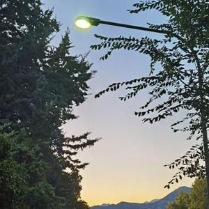 Sommernächte
