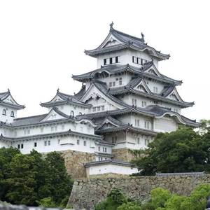 白鹭之城（cover 宝冢歌剧团）