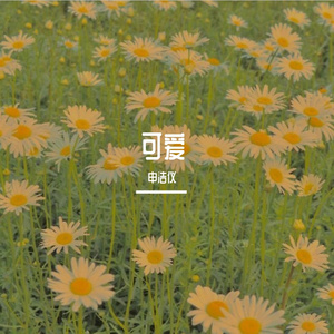 可爱