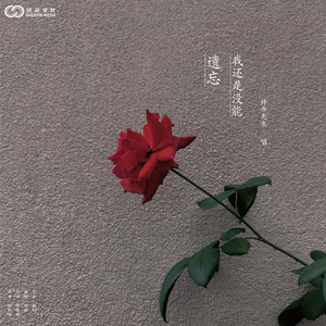 我还是没能遗忘