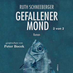 Kapitel 47: Gefallener Mond (Teil 20)