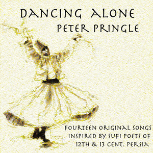 Dust Grains in the Sunlight