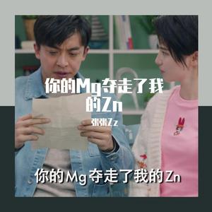 Zj-aIvSoN-你的Mg夺走了我的Zn