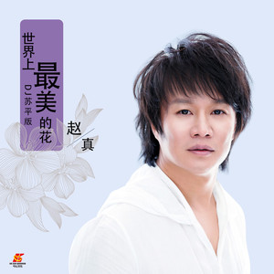 世上最美的花 (DJ苏平版)
