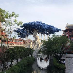 是心脏被你攥紧