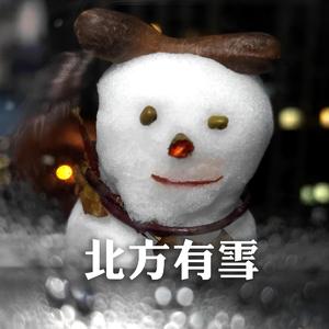 北方有雪