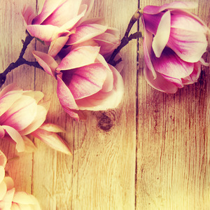 ラブレイン (黄金比)