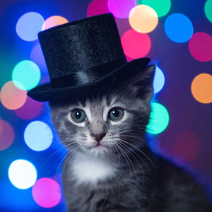 魔法にかけられたラウンジ