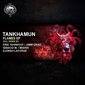 Flames (MiSiNKi Remix)