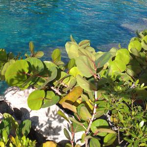 Change - a Climate Tribute ( )