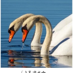 搞他不定 我就搞你