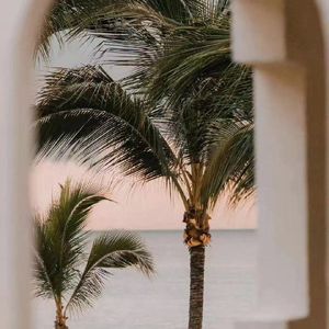 大鱼（cover：周深）