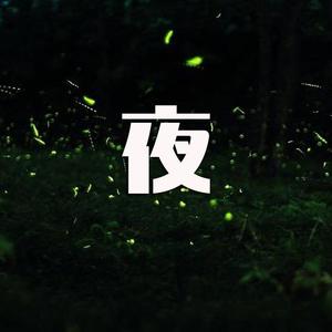 夏之夜