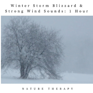 Winter Storm Blizzard & Strong Wind Sounds: One Hour