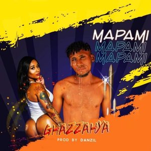 Mapami