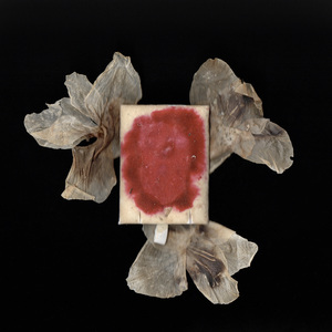 Like Someone Said (To Me)