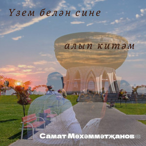 Үзем белән сине алып китәм