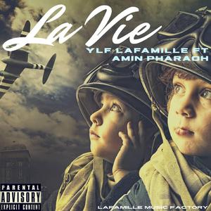 Vidas (feat. Amin Pharaoh)