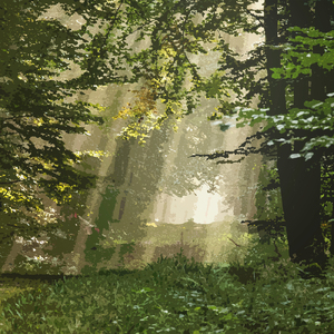 鳥の人 (二胡 Cover)