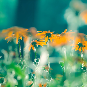 时光, 你慢点走