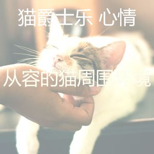 抚慰的小猫回忆