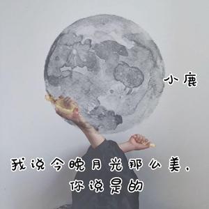 我说今晚月光那么美，你说是的