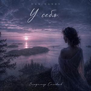 У себя (Владимир Соловьев)