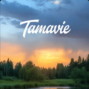 Bulletproof Carcasse