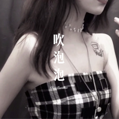 没有你我一个人睡 (Remix)