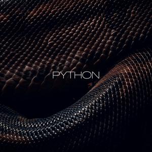 PYTHON