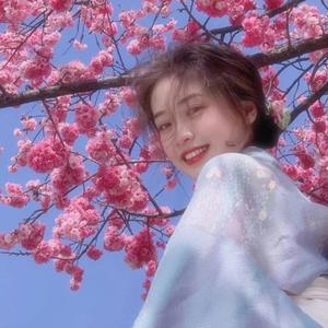 Diana Boncheva-小提琴曲（沐辰 remix）