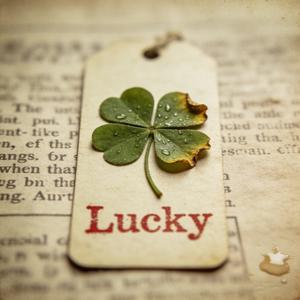 海誓山盟+失眠酒(忧郁版)