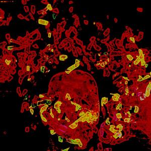 CNFTT (_isittho remix)