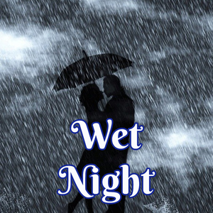 Wet Night