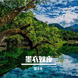 柳岸风轻