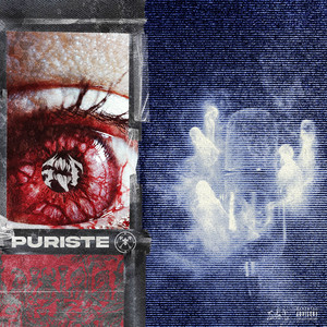 Puriste