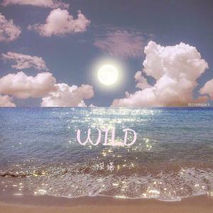 Jarrh3jmi-WILD（张明达mix）（贝塔 remix）