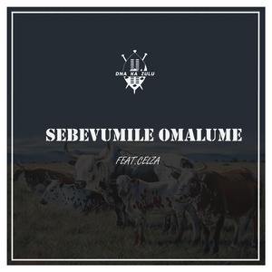 Sebevumile Omalume (feat. Celza)
