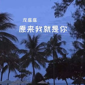 原来我就是你
