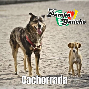 Cachorrada