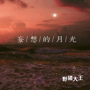 妄想的月光