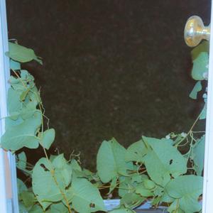 8 Ball Corner Pocket