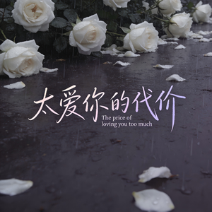 太爱你的代价