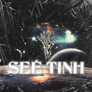 See Tinh TikTok (Remix)