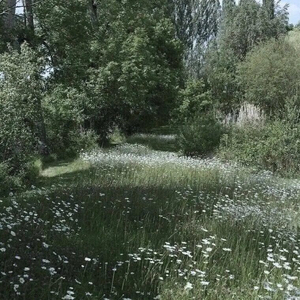 思念太过于漫长