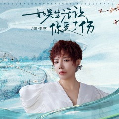 如果生活让你受了伤 (DJBanan版)