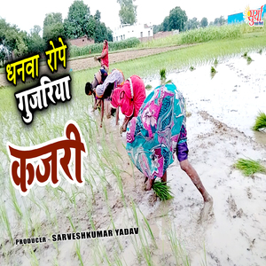 Dhanva Rope Gujariya